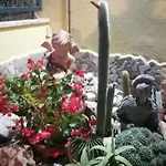 Eneahouse