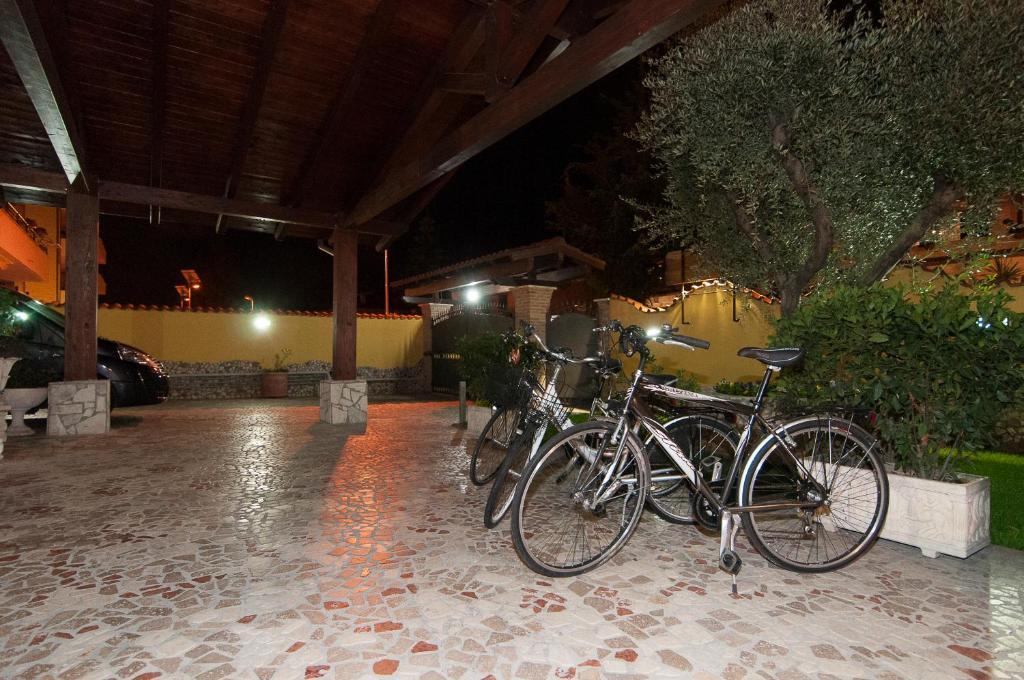 Eneahouse Fiumicino